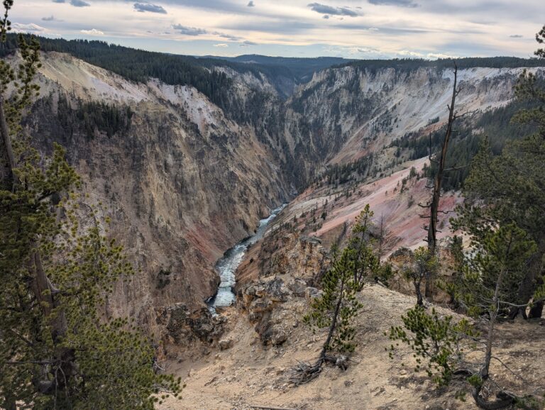 Yellowstone (sud-est du parc national et animaux)