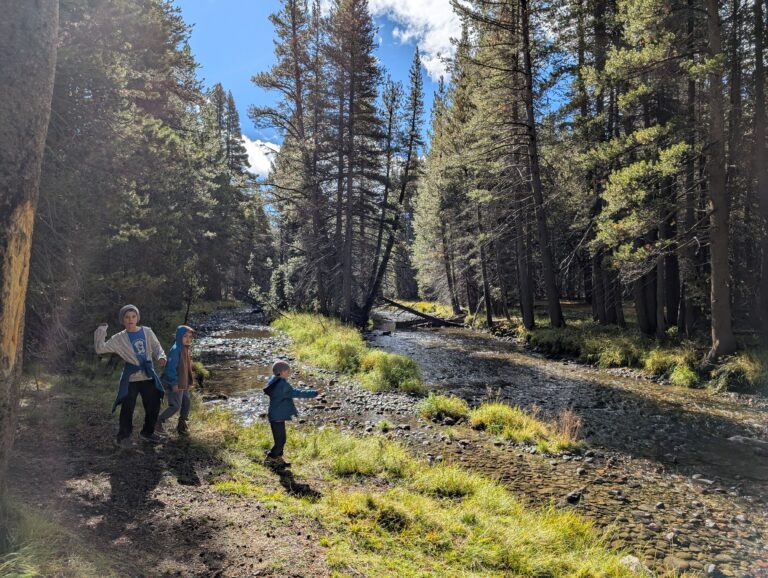 Yosemite national park (partie est)