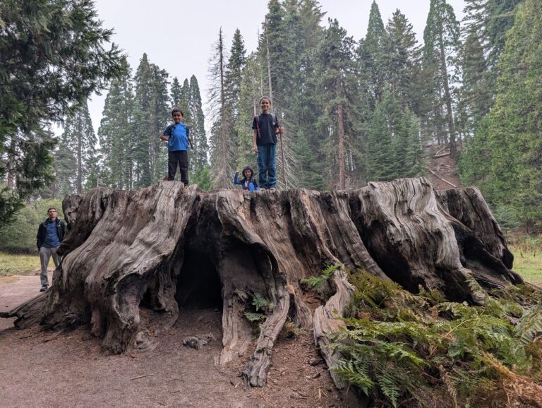 Kings Canyon et Séquoia NP