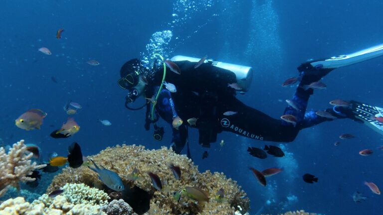 Plongée sous marine
