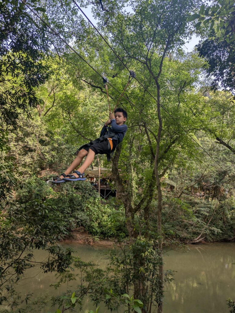 Retour au parc Ozo